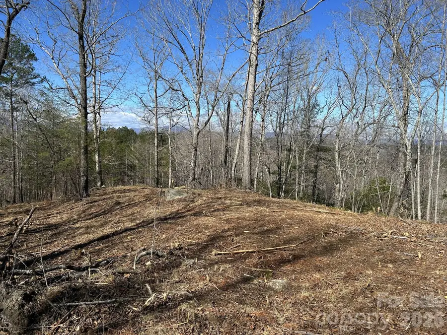 00 Millcreek Way, Rutherfordton, NC 28139 - #2