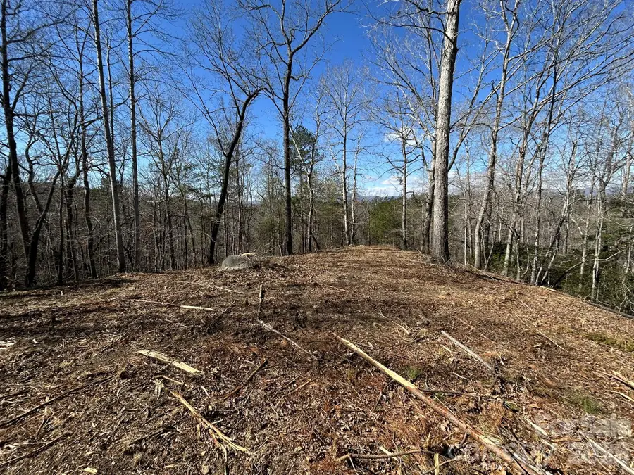 00 Millcreek Way, Rutherfordton, NC 28139 - #3