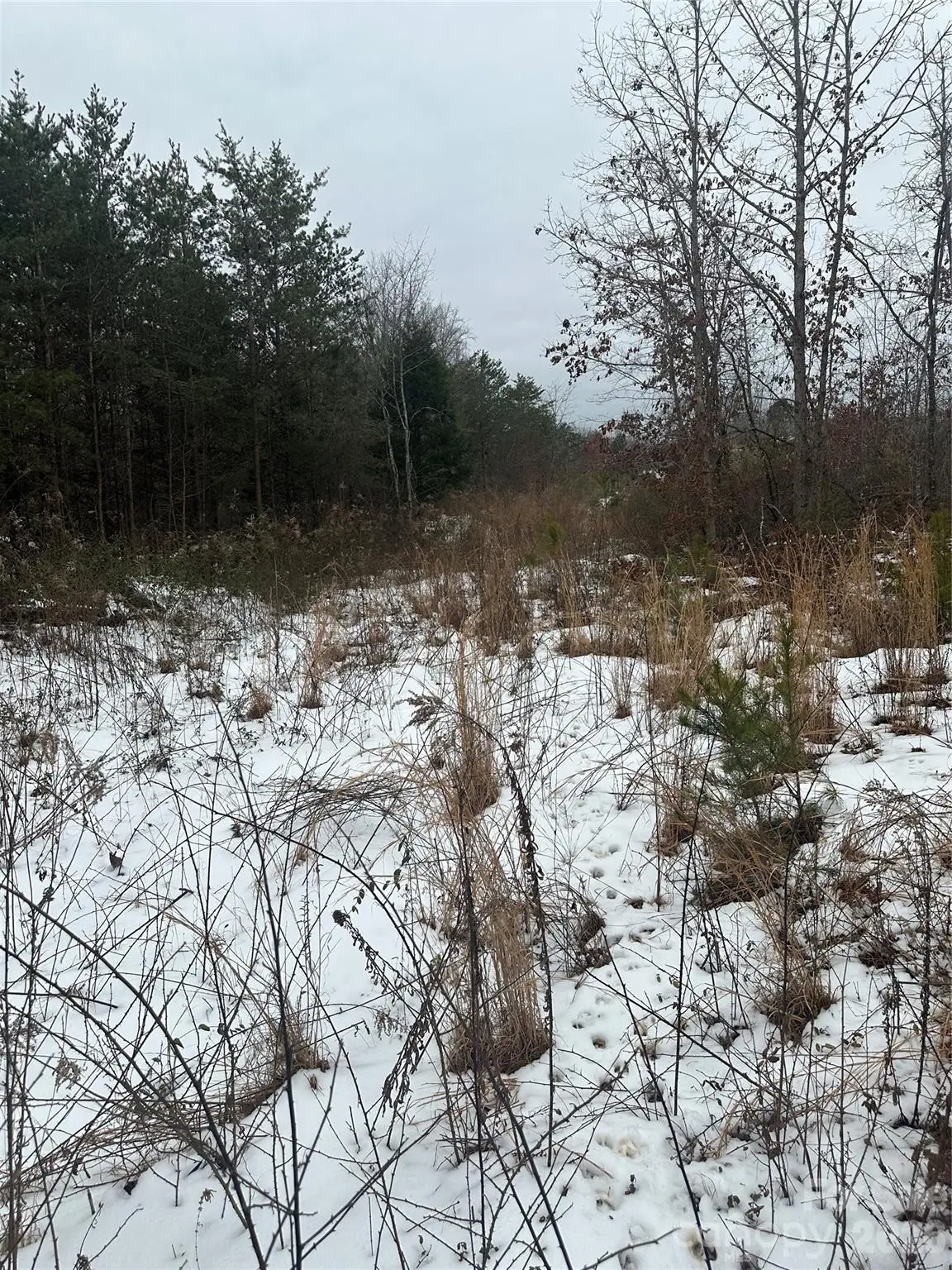 000 Norman Parker Road, Lawndale, NC 28090 - #1