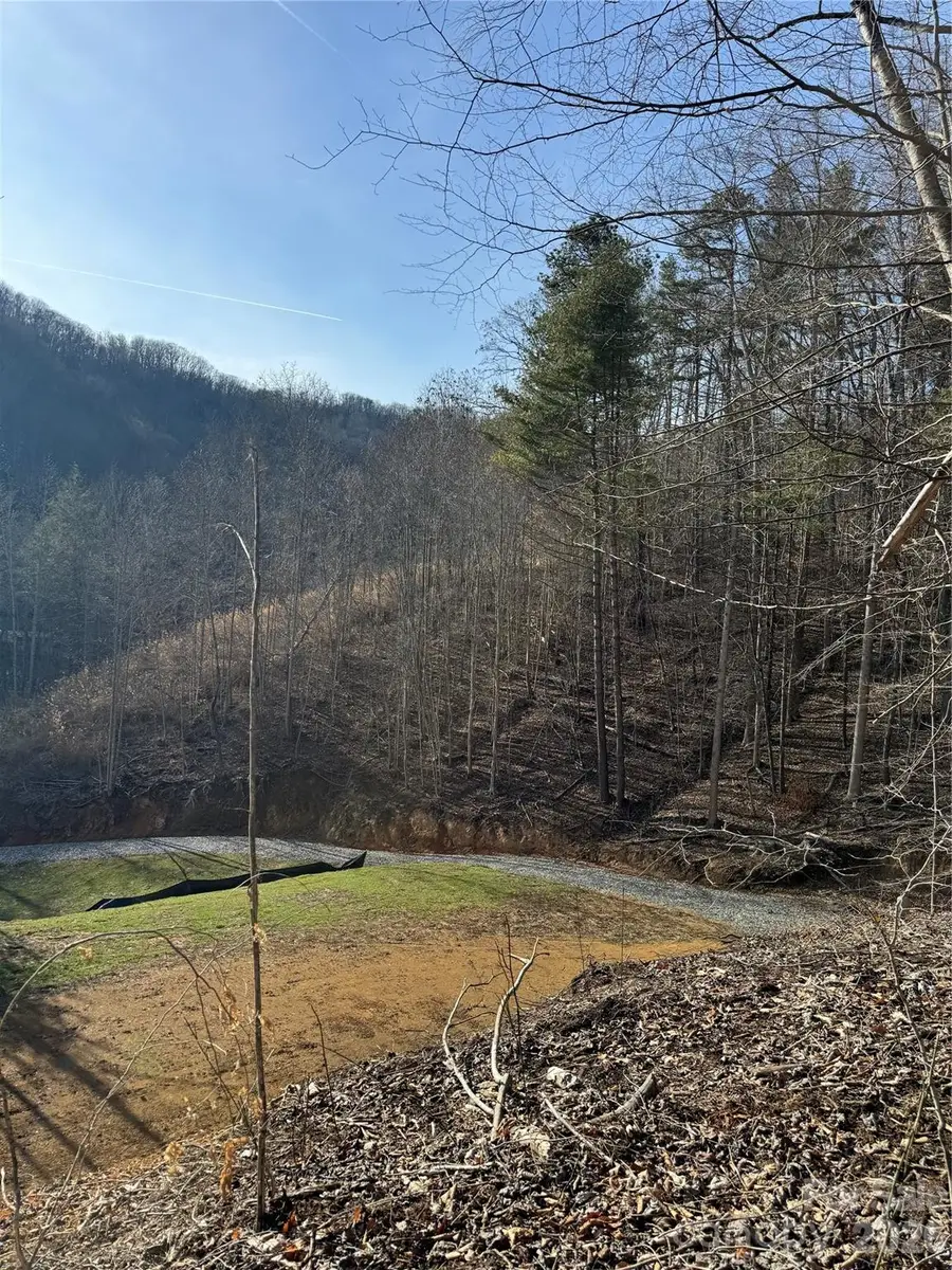 890 Fisher Branch Road, Marshall, NC 28753 - #2