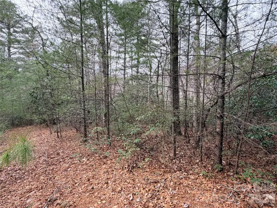 TBD (Lot 4) Wolf Den Lane #4, Lenoir, NC 28645 - #3