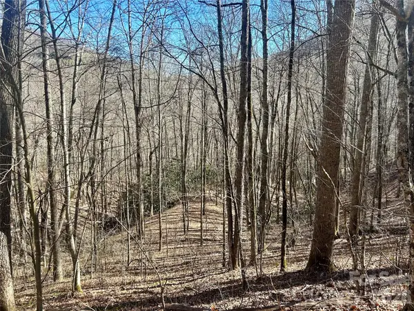 0 Deep Gap View #51&52&53, Whittier, NC 28789