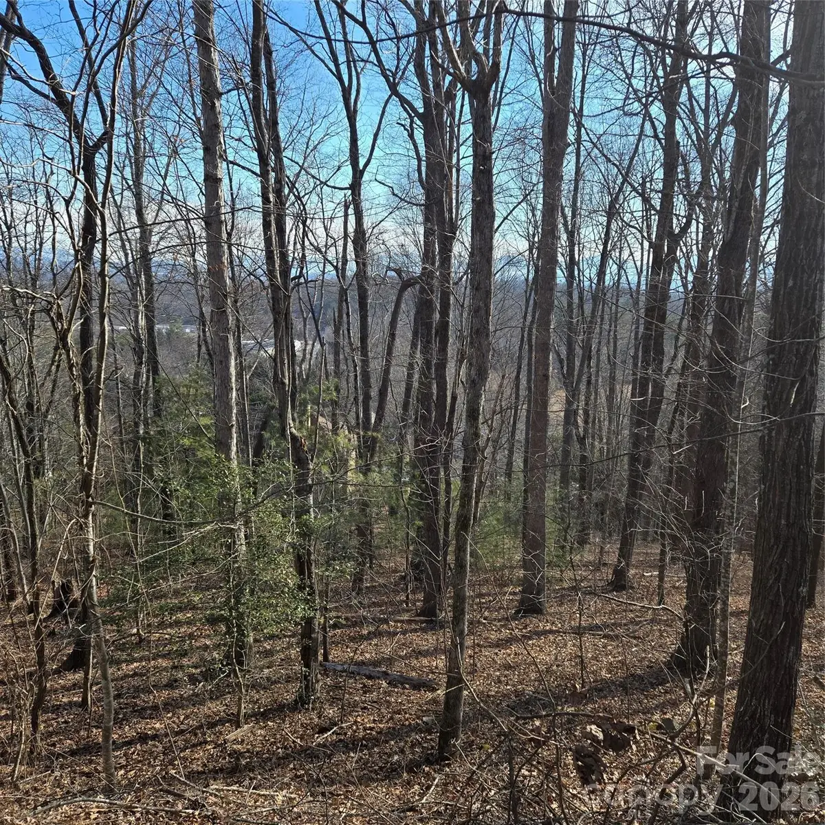 85 Shinnecock Drive #7, Mills River, NC 28759 - #1