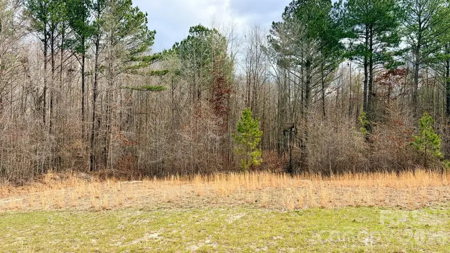 505 Shag Road, Chesterfield, SC 29709 - #3