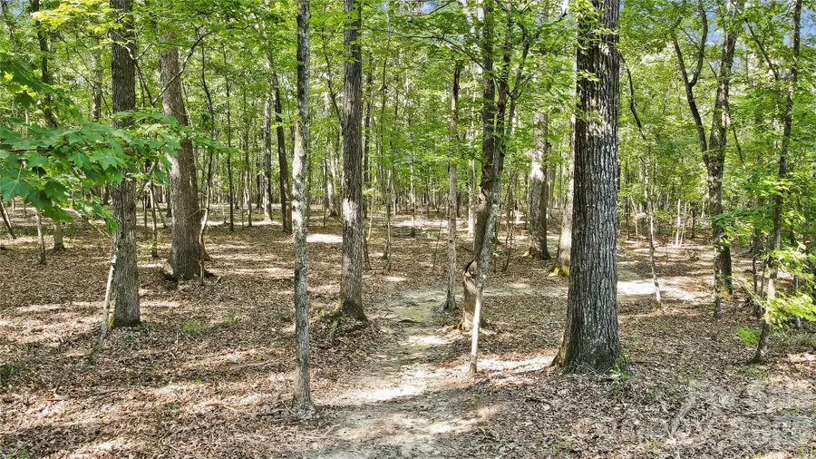 Lot 2 Indian Trail Fairview Road, Indian Trail, NC 28079 - #3