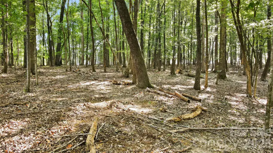 Lot 3 Indian Trail Fairview Road, Indian Trail, NC 28079 - #2