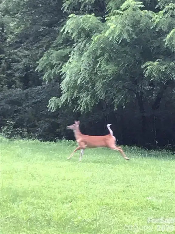 19 Laurel Loop Road, Fairview, NC 28730 - #1