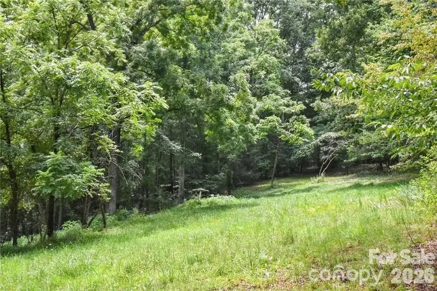 19 Laurel Loop Road, Fairview, NC 28730 - #2