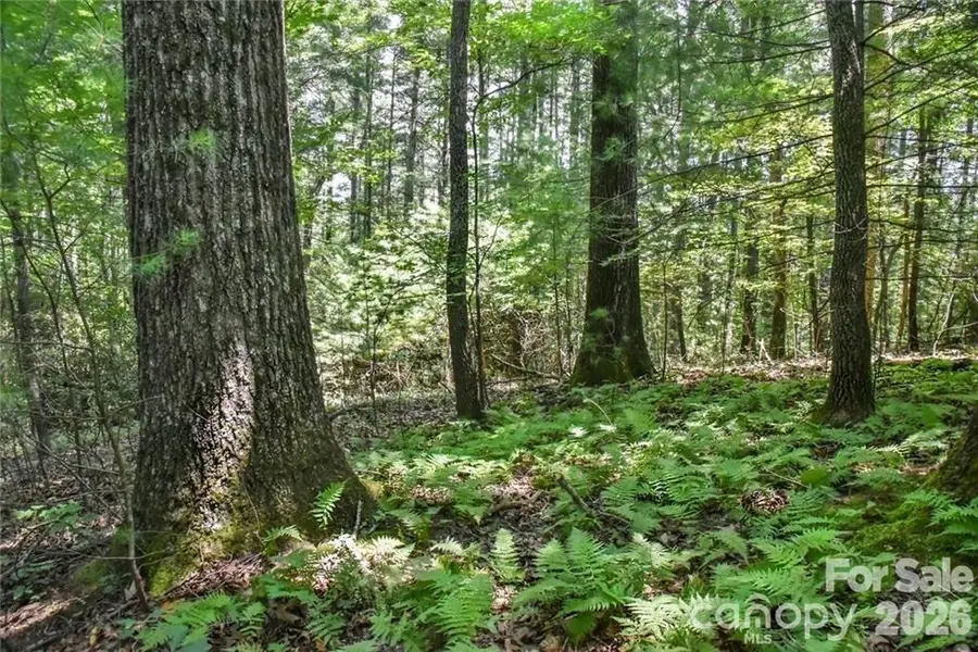 19 Laurel Loop Road, Fairview, NC 28730 - #3