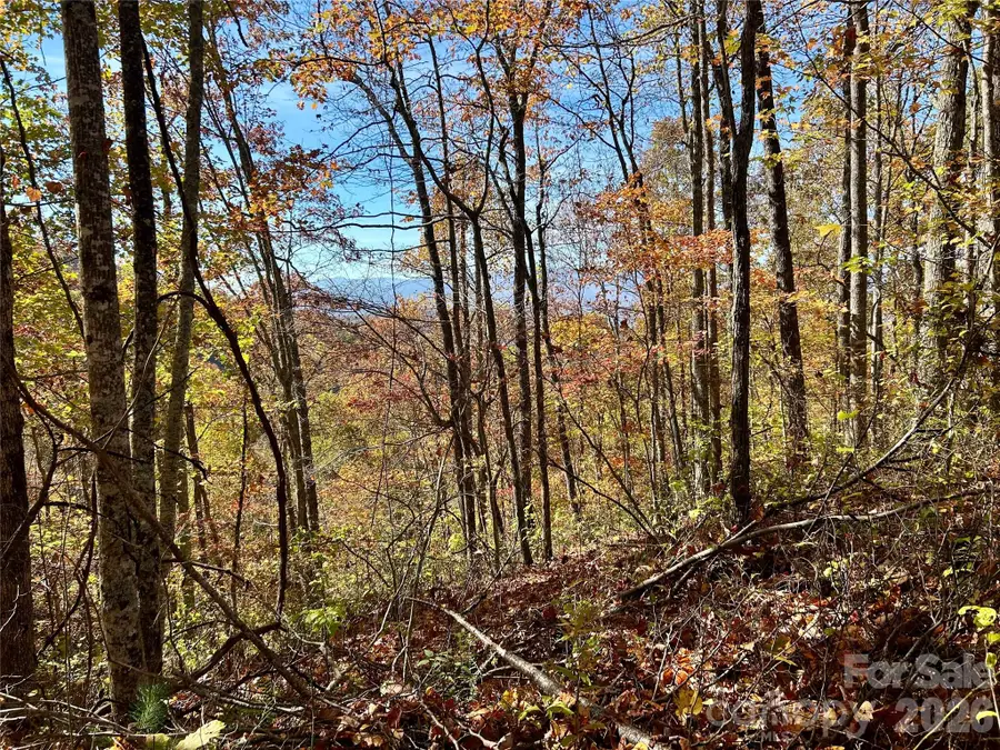 0 Owle View #30, Bryson City, NC 28713 - #2