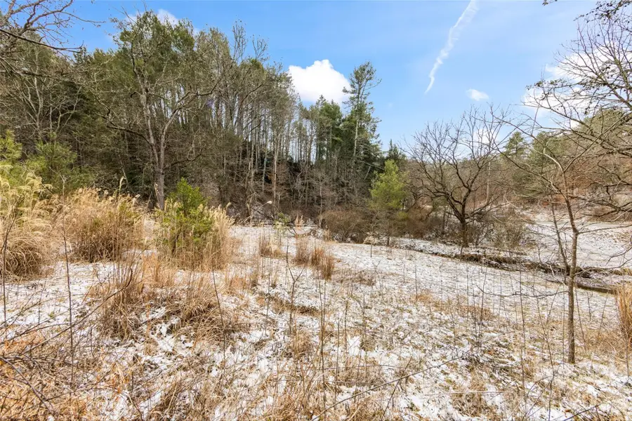 TBD Lower White Oak Road, Marshall, NC 28753 - #2