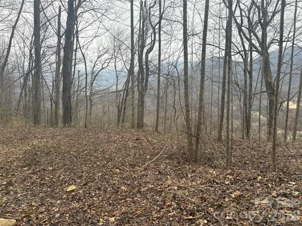 00 Country Club Drive #11, Whittier, NC 28789