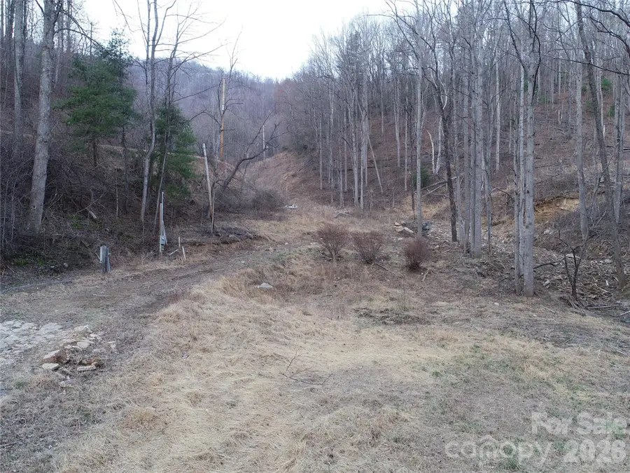 4696 Nc Hwy 226a Highway, Marion, NC 28752 - #2