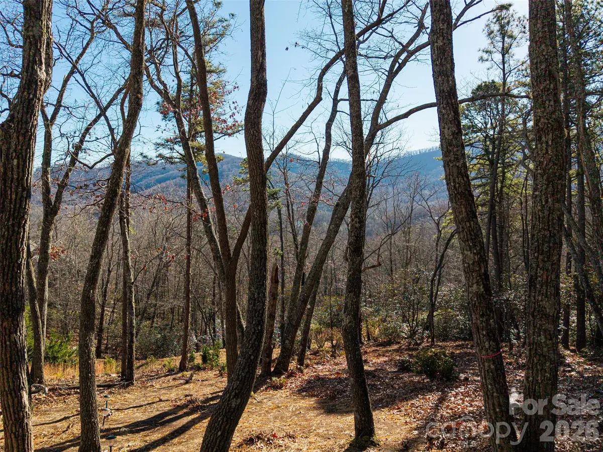 92 Smokey Ridge Trail, Arden, NC 28704 - #1