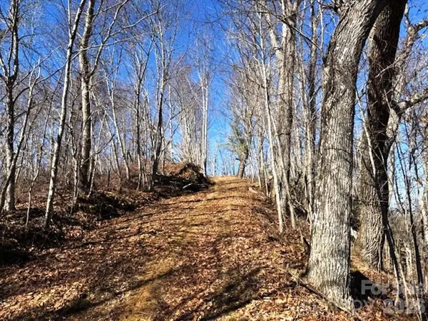 Lot 9 Vilas Overlook Drive #9, Vilas, NC 28692
