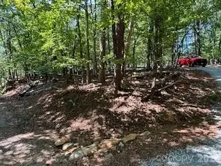 00 Johnson Circle, Lake Lure, NC 28746 - #3