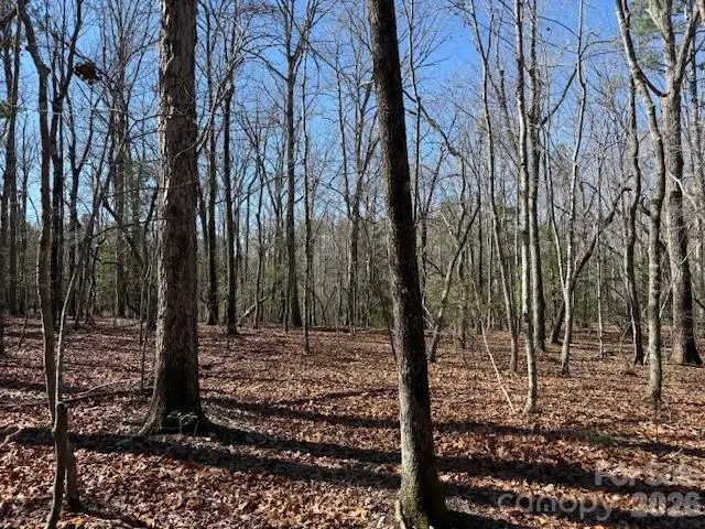 0 Thayer Road, Troy, NC 27371 - #1