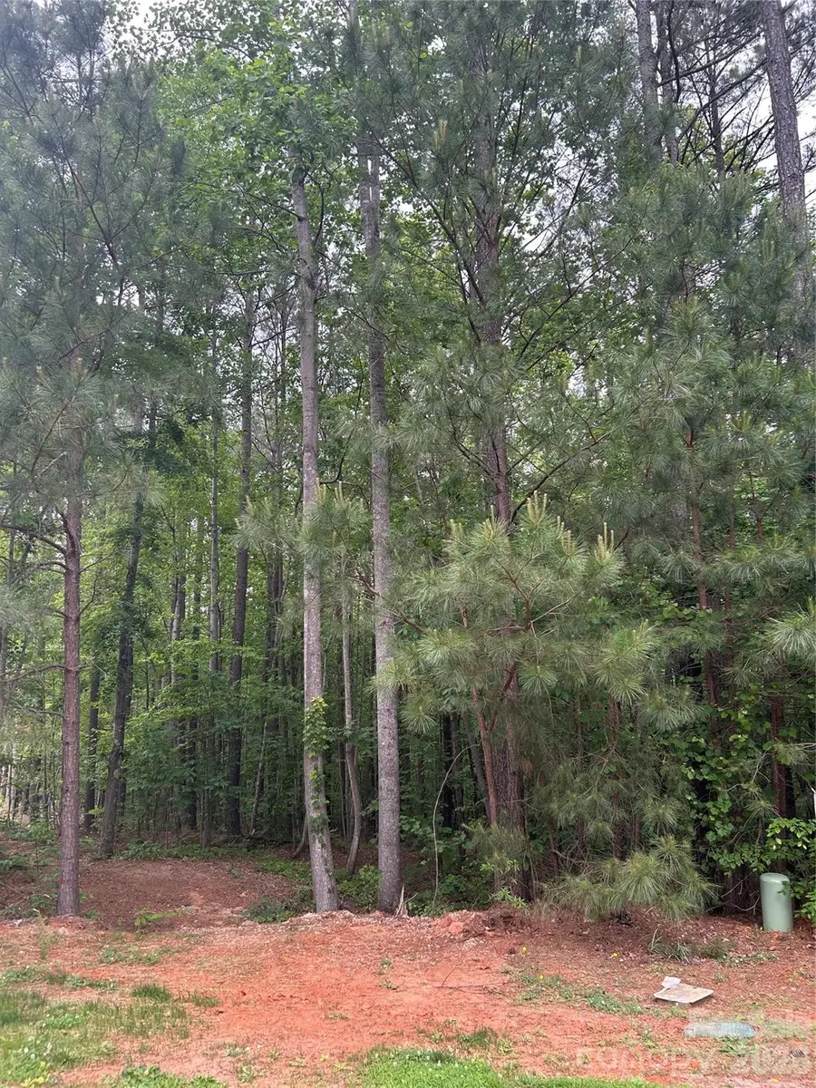 7300 Bay Cove Court, Denver, NC 28037 - #3