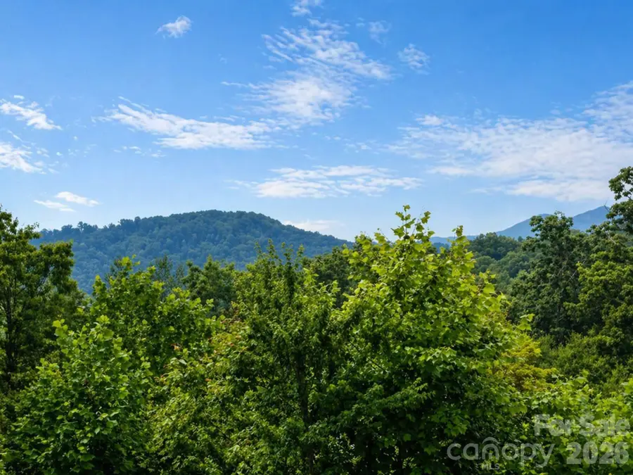 73 Dalya Road, Swannanoa, NC 28778 - #2