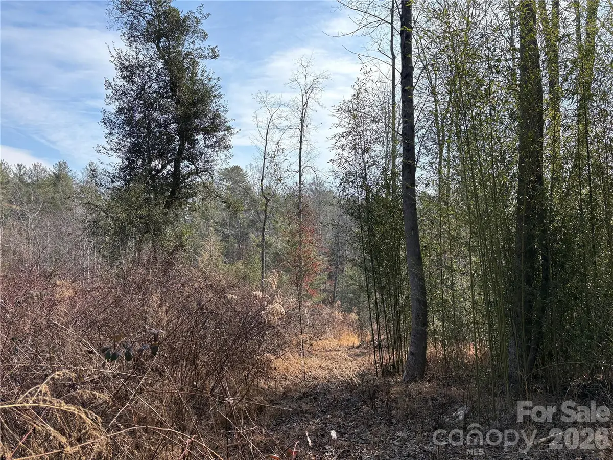 120 Shamrock Circle, Hudson, NC 28638 - #1