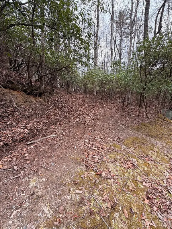 TBD Tsisqua Circle #66/05, Brevard, NC 28712