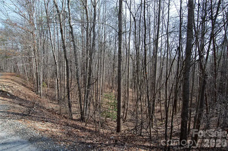 00 Sundance Drive #3-IV, Nebo, NC 28761 - #3