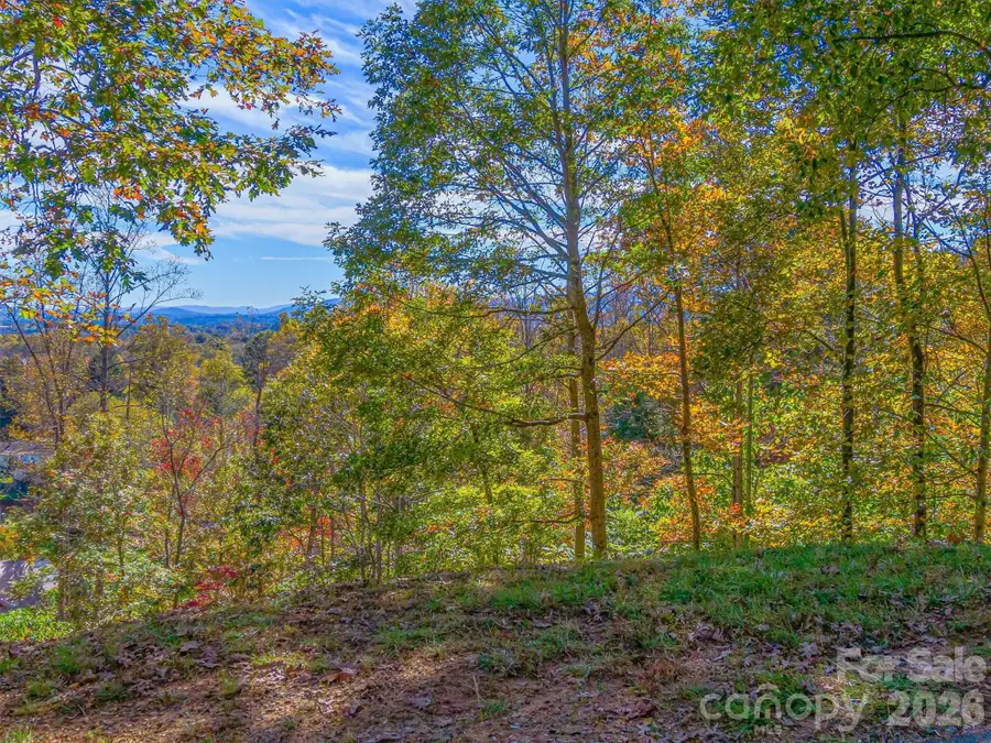 17 Denali Drive #V-108, Asheville, NC 28806 - #2