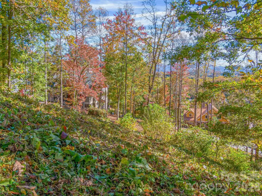 17 Denali Drive #V-108, Asheville, NC 28806 - #3