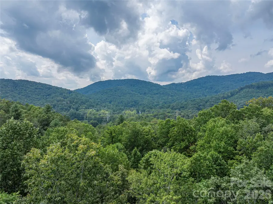 116 Ivy Road, Mills River, NC 28759 - #3