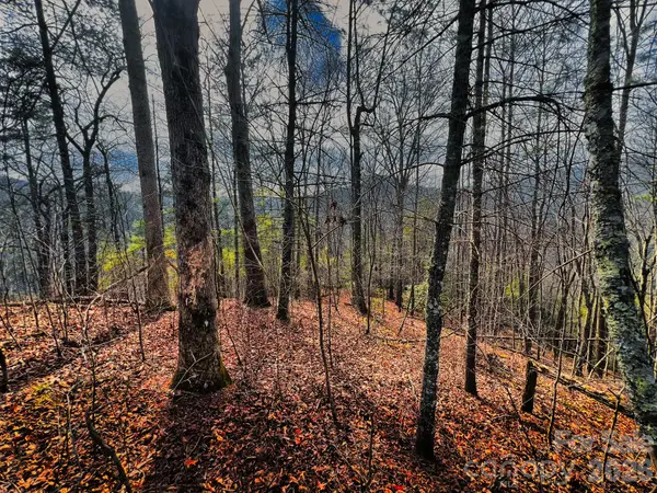 232 Thorncliff Road #82, Marshall, NC 28753