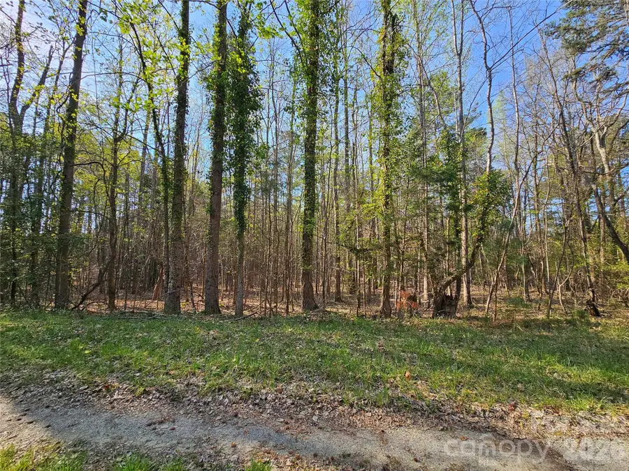 Lot 10 Elliott Road, Richburg, SC 29729 - #3