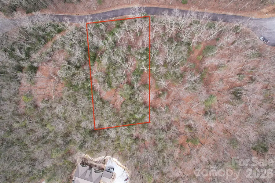 TBD Laurel Thicket Lane, Brevard, NC 28712 - #2