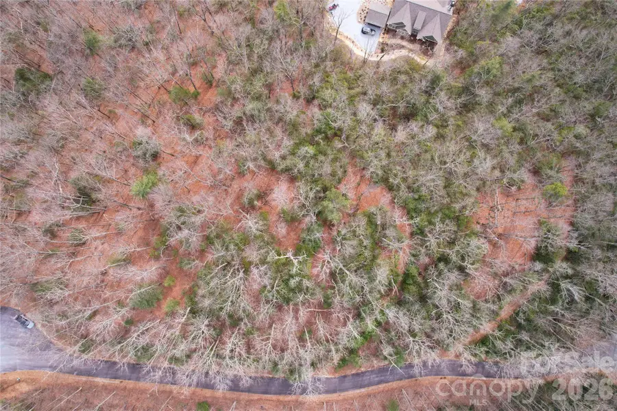 TBD Laurel Thicket Lane, Brevard, NC 28712 - #3