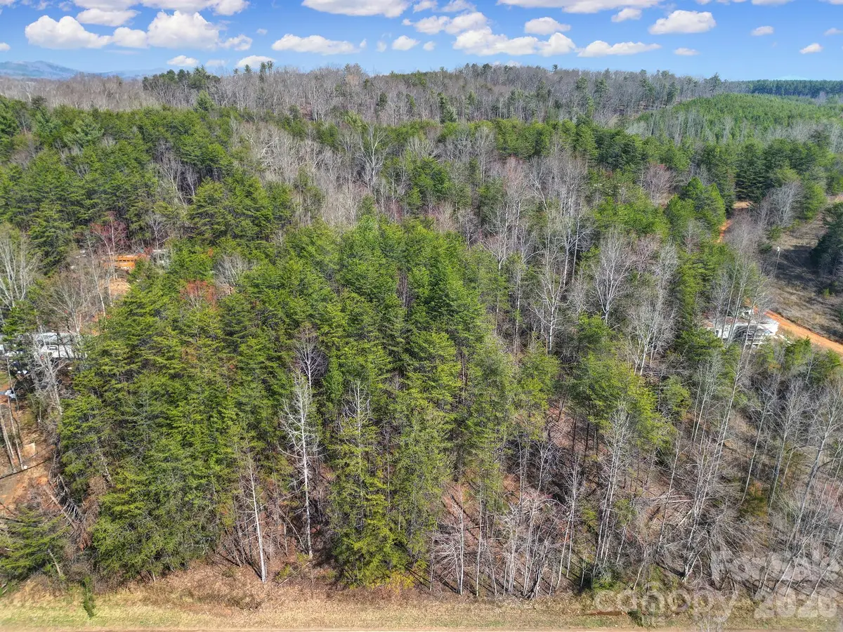 236 Dirty Ankle Road, Lawndale, NC 28090 - #1