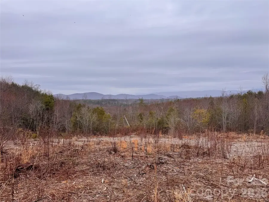 00 Baugess Mill Road, Traphill, NC 28685 - #3