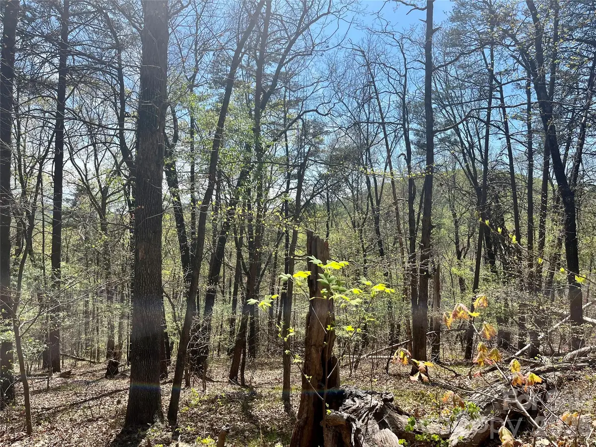 0 Pilgrim Church Road, Hiddenite, NC 28636 - #1