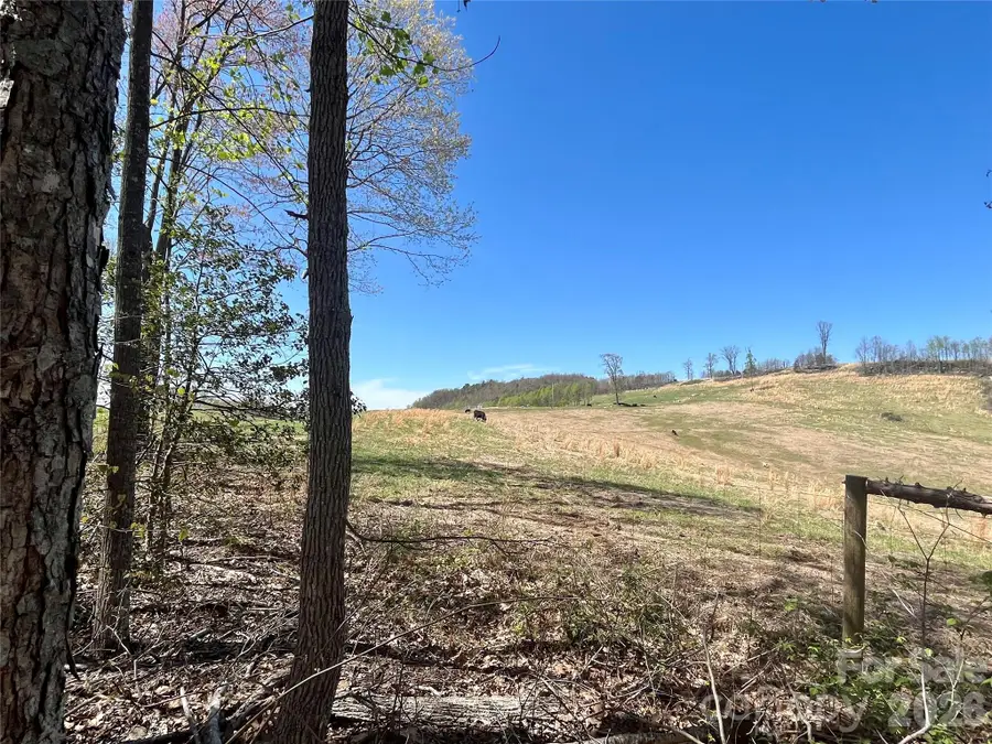 0 Pilgrim Church Road, Hiddenite, NC 28636 - #3