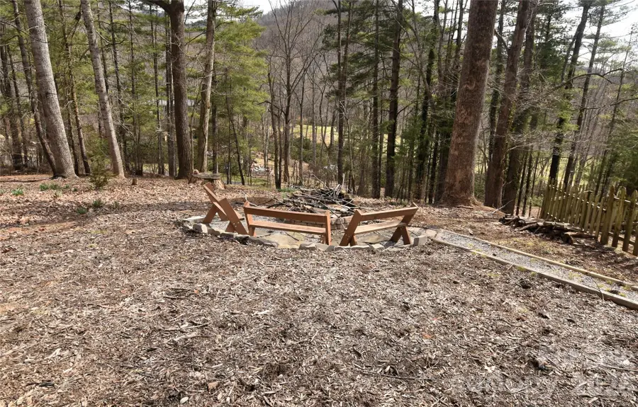 1299 Country Club Drive, Canton, NC 28716 - #3