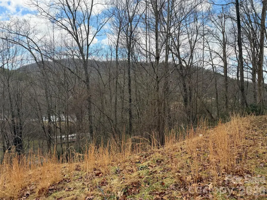 233 Lyday Creek Road, Pisgah Forest, NC 28768 - #3