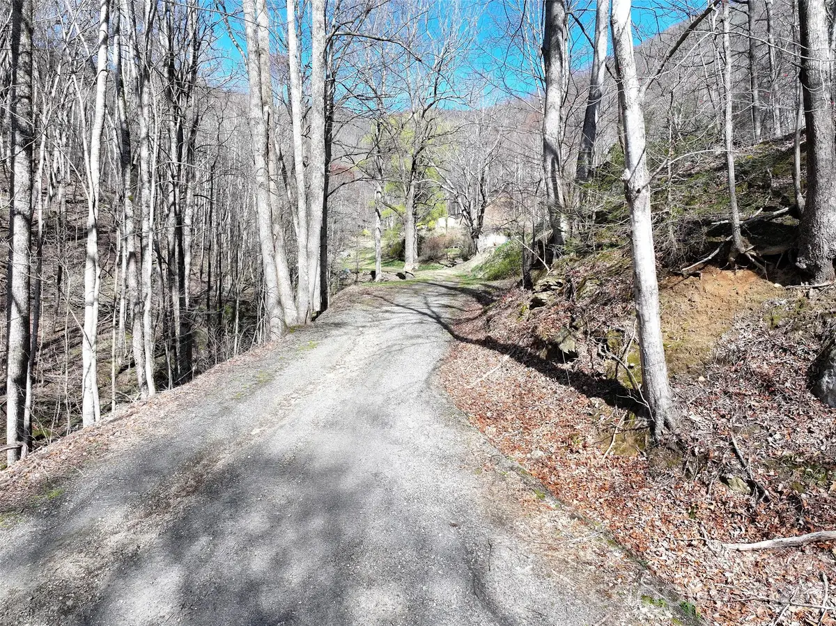 1002 Ned Cove Road, Waynesville, NC 28785 - #1