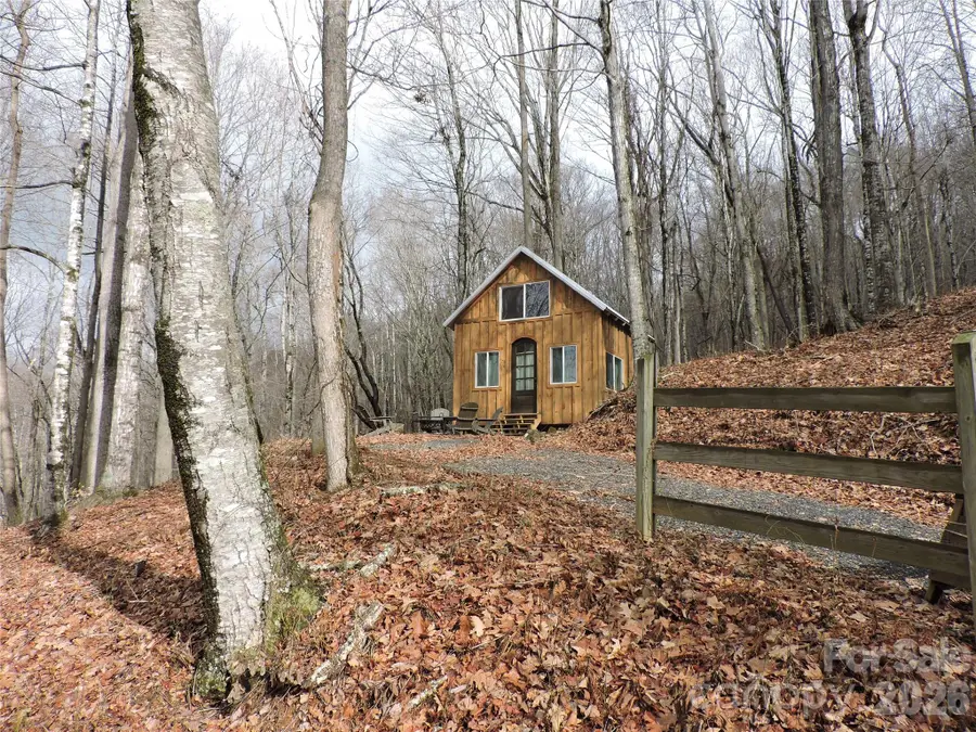 191 Bens Bend, Bakersville, NC 28705 - #3