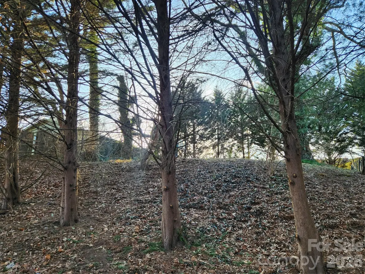 8 John Street, Asheville, NC 28801 - #1