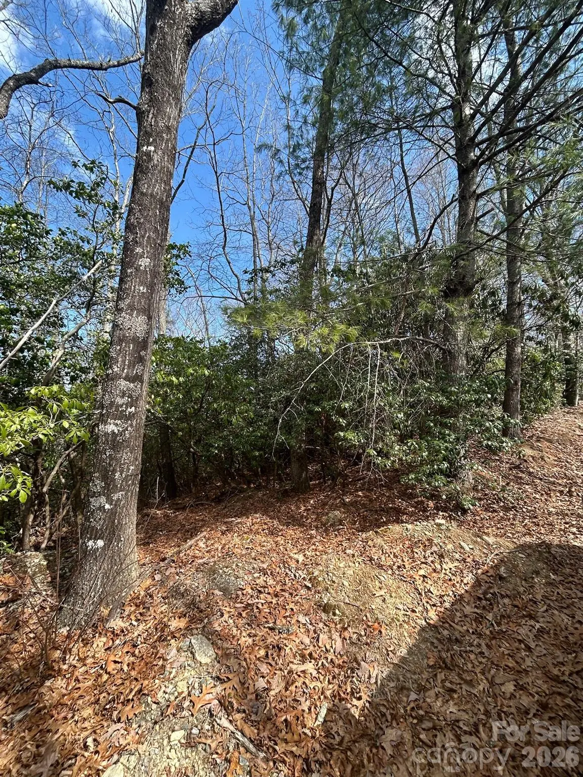 Lot 37 High Peak Road, Hendersonville, NC 28739 - #1