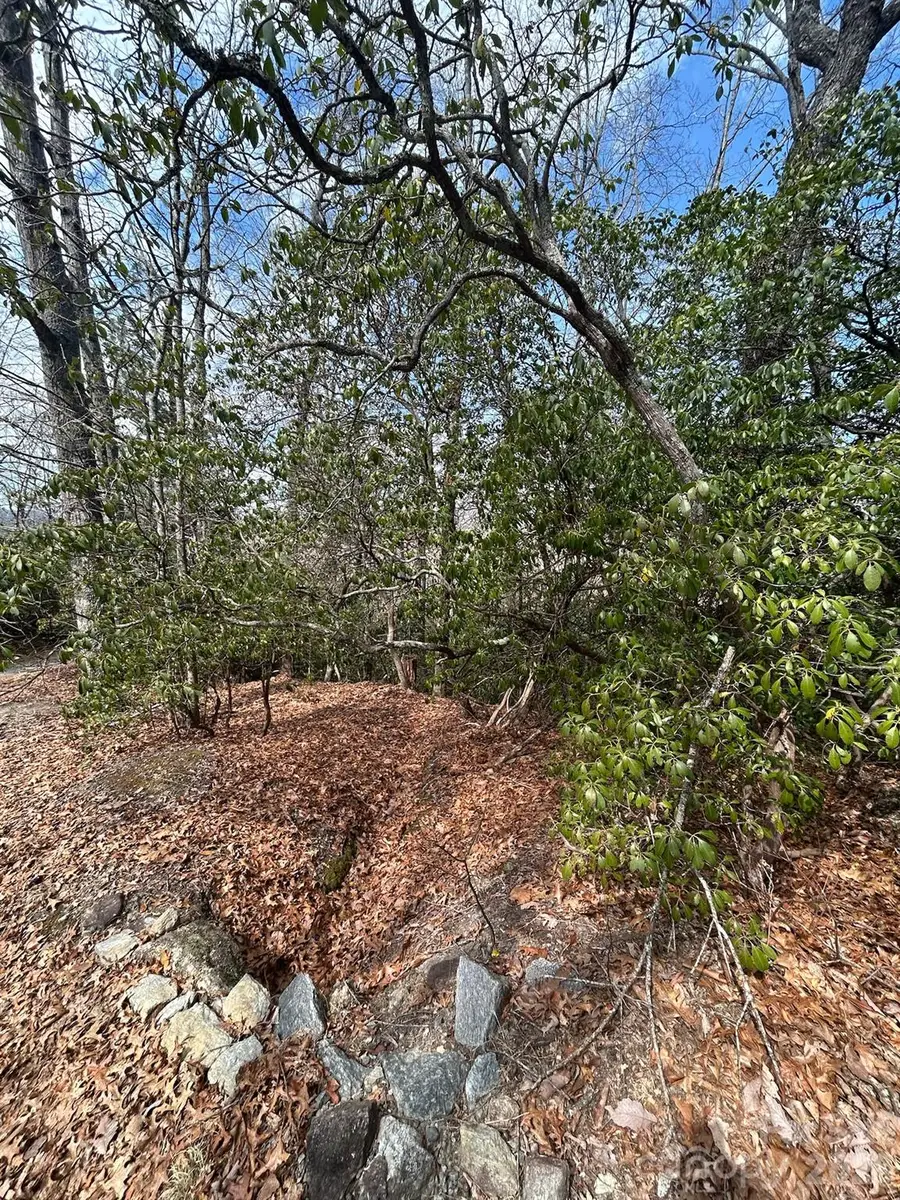 Lot 37 High Peak Road, Hendersonville, NC 28739 - #2