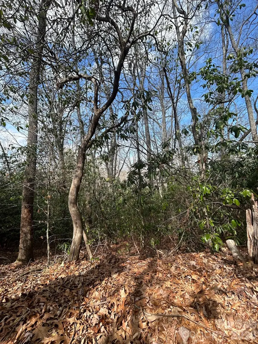 Lot 37 High Peak Road, Hendersonville, NC 28739 - #3