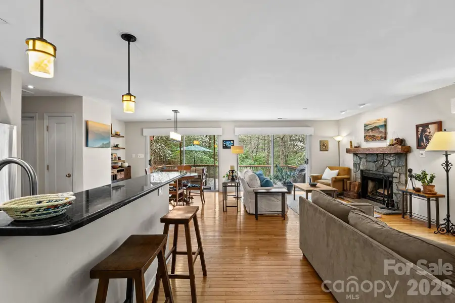 75 Wodigeasgohi Drive, Brevard, NC 28712 - #3