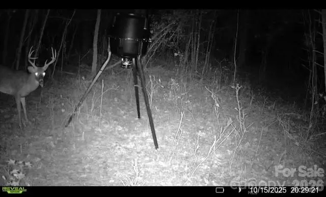 0000 Coldstream Road, Heath Springs, SC 29058 - #3