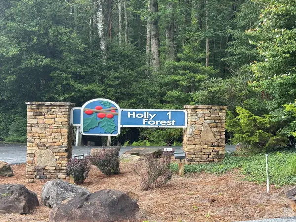 66 W Christy Trail, Sapphire, NC 28774