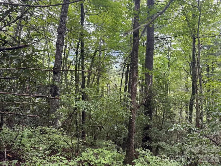 66 W Christy Trail, Sapphire, NC 28774 - #2