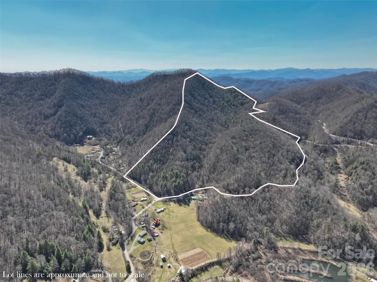 0000 Grapevine Road, Marshall, NC 28753 - #1